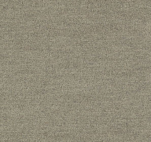 Ковровая плитка Interface Polichrome Solid 4266007 Shiitake фото 1 | FLOORDEALER